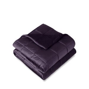 Bare Home Weighted Blanket - Minky Fleece (60" x 80" | 17lbs)