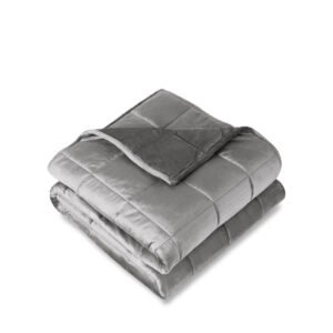 Bare Home Weighted Blanket - Minky Fleece - Light Grey (48" x 72" | 12lbs)