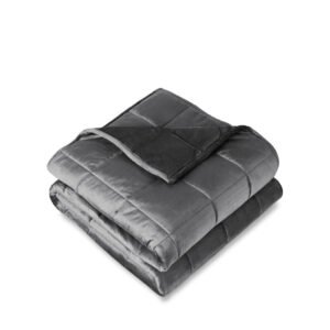 Bare Home Weighted Blanket - Minky Fleece - Grey (80" x 87" | 25lbs)
